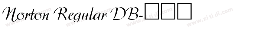 Norton Regular DB字体转换